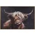 Rusty Highland Cow Framed Art Canvas 60x90cm - Black