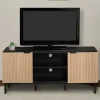 Saxon 2 Door TV Stand - Black