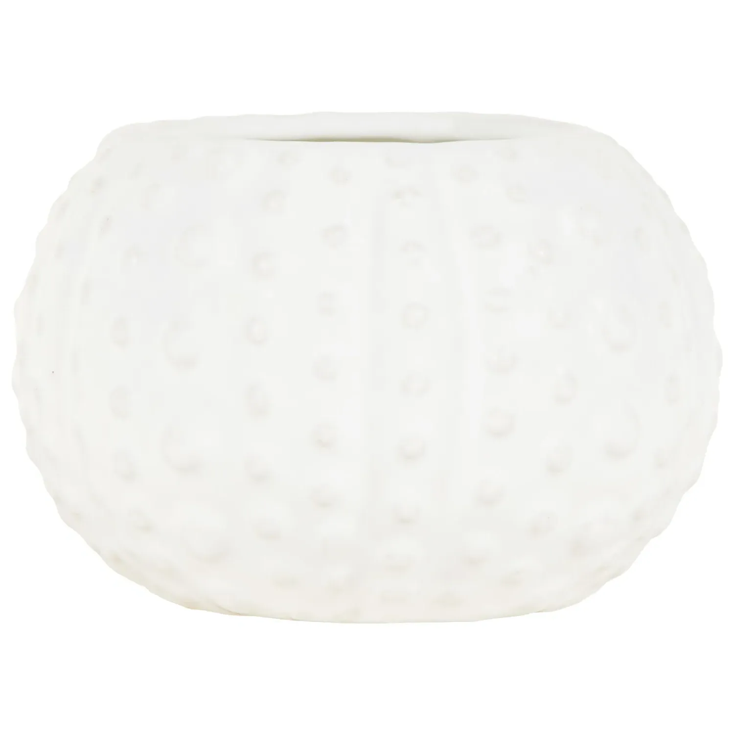 Sea Breeze Shell Candle - White