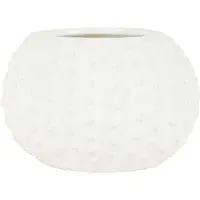 Sea Breeze Shell Candle - White