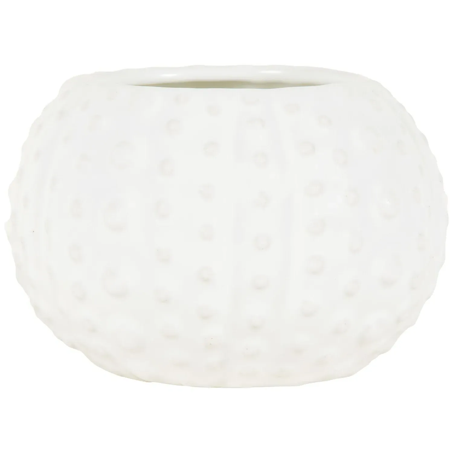 Sea Breeze Shell Candle - White