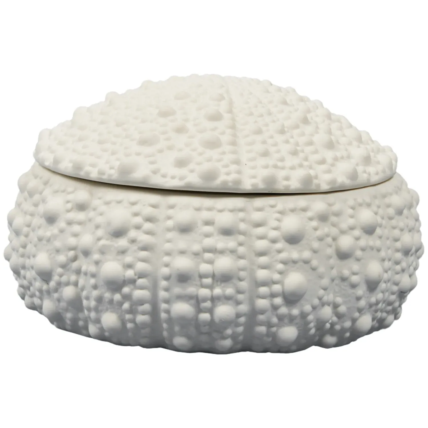 Sea Urchin Trinket Dish with Lid - White