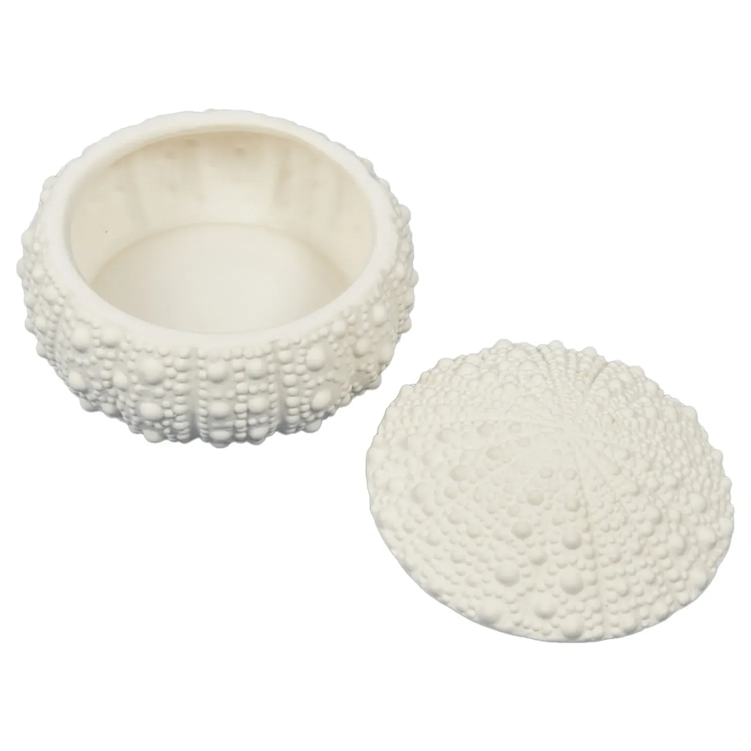 Sea Urchin Trinket Dish with Lid - White