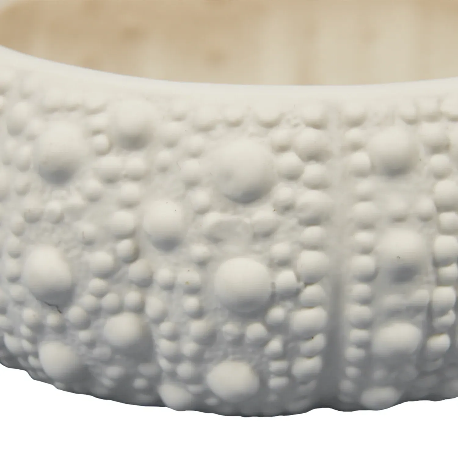 Sea Urchin Trinket Dish with Lid - White