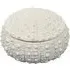 Sea Urchin Trinket Dish with Lid - White