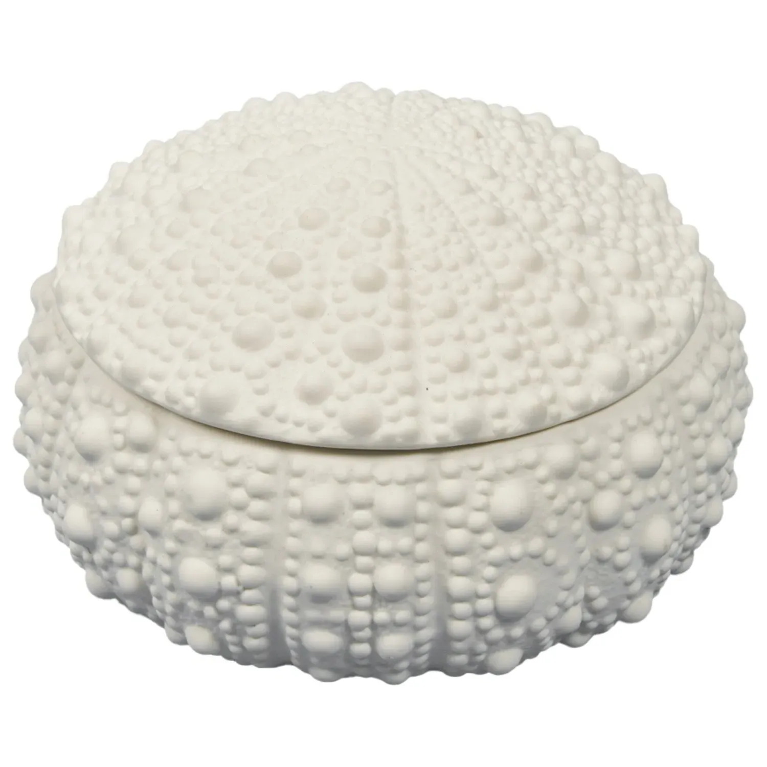 Sea Urchin Trinket Dish with Lid - White image