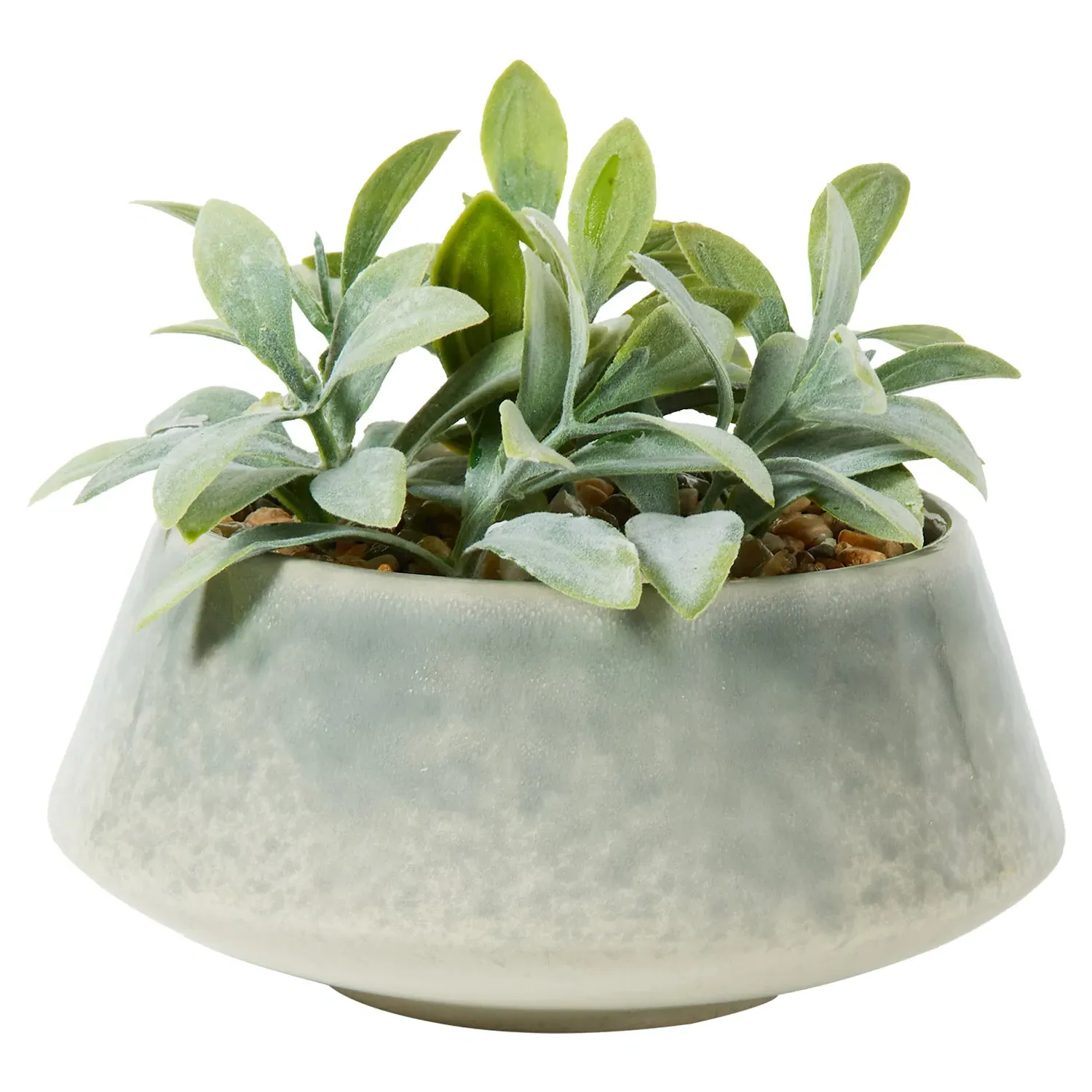 Senecio Artificial Plant - Green, Reactive Glaze Pot