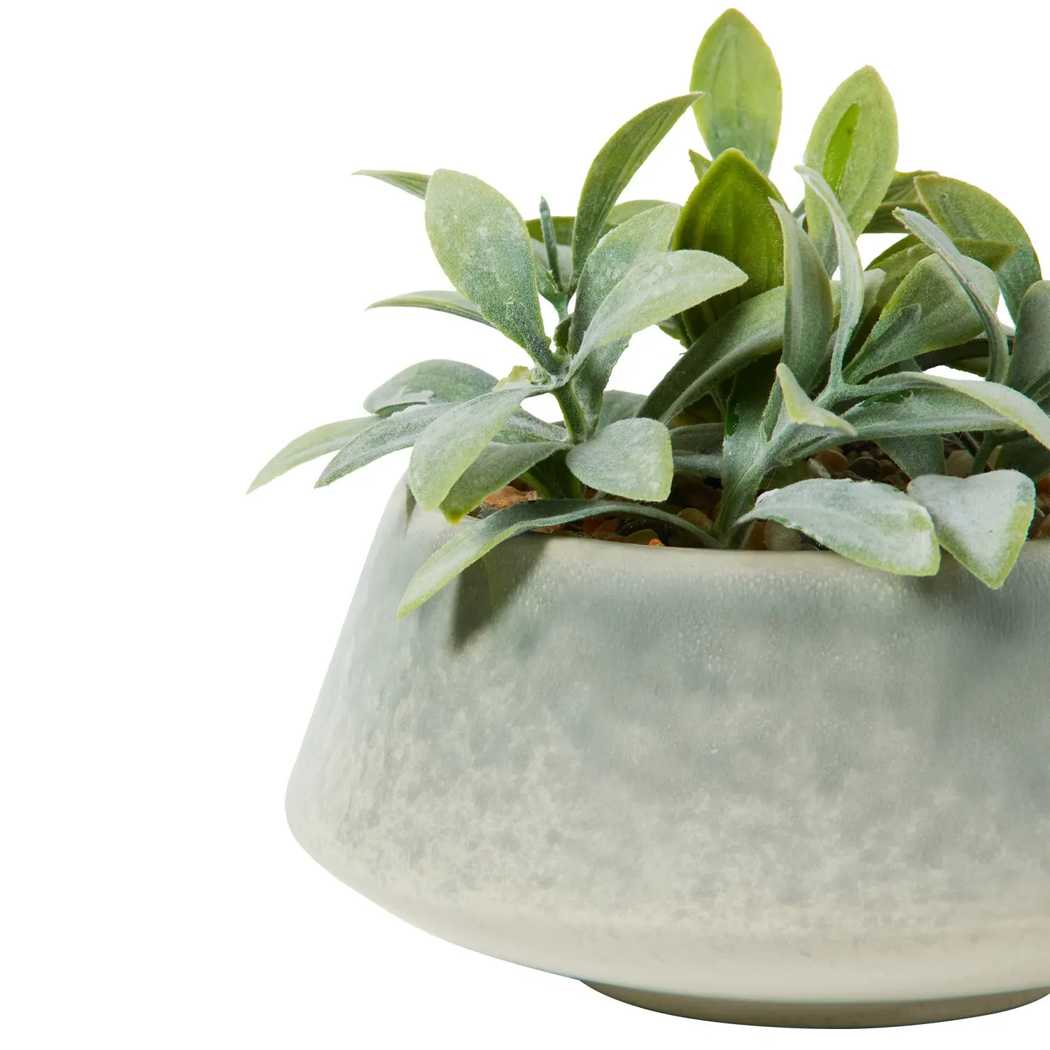 Senecio Artificial Plant - Green, Reactive Glaze Pot