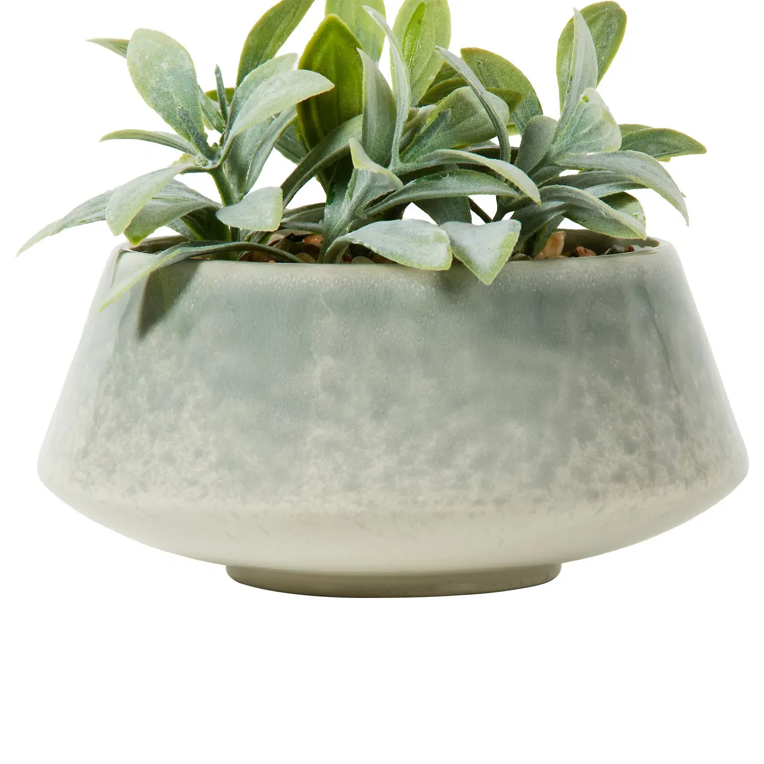 Senecio Artificial Plant - Green, Reactive Glaze Pot