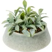 Senecio Artificial Plant - Green, Reactive Glaze Pot