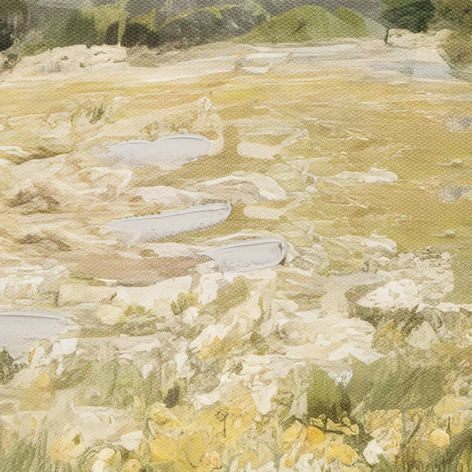 Set of 2 In the Meadows Canvas Wall Art - Green