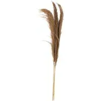 Set of 3 Pampas Grass Decoration