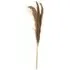 Set of 3 Pampas Grass Decoration