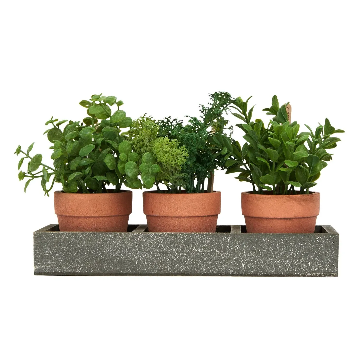 Set of 3 Potted Herbs in Tray - Grey
