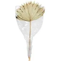 Set of 3 Sun Spears - Natural