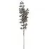 Single Stem Eucalyptus Artificial Plant - Smoked, Silk