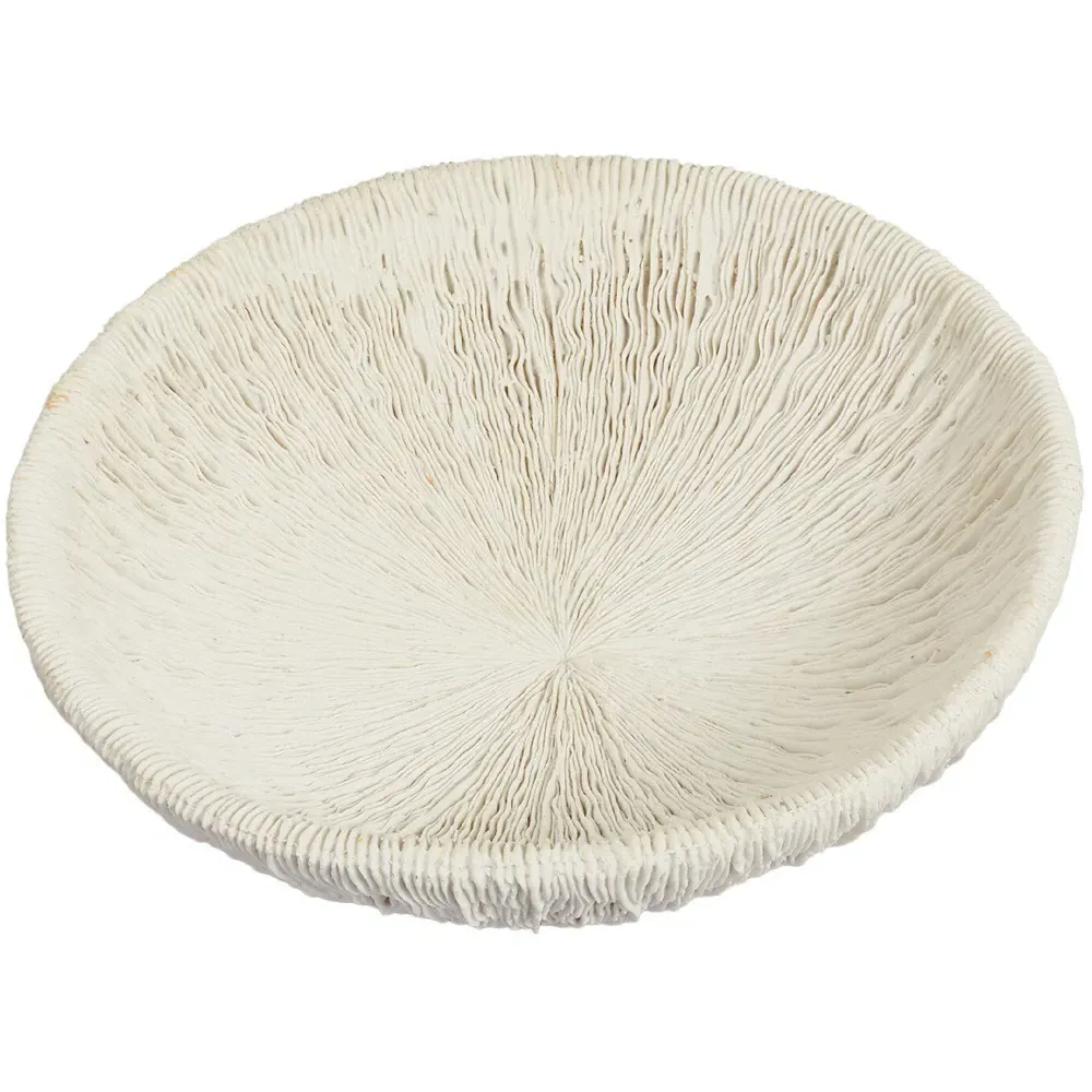 Sofia Textured Bowl - White