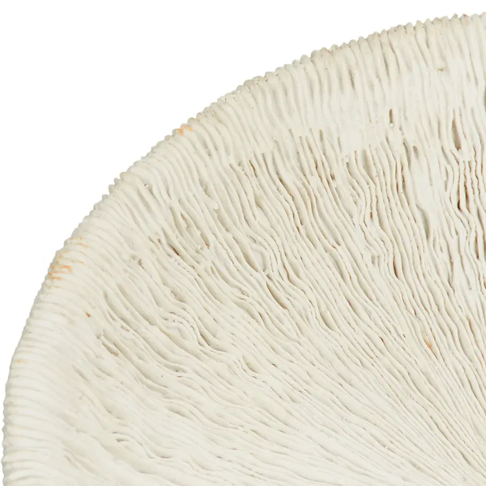 Sofia Textured Bowl - White