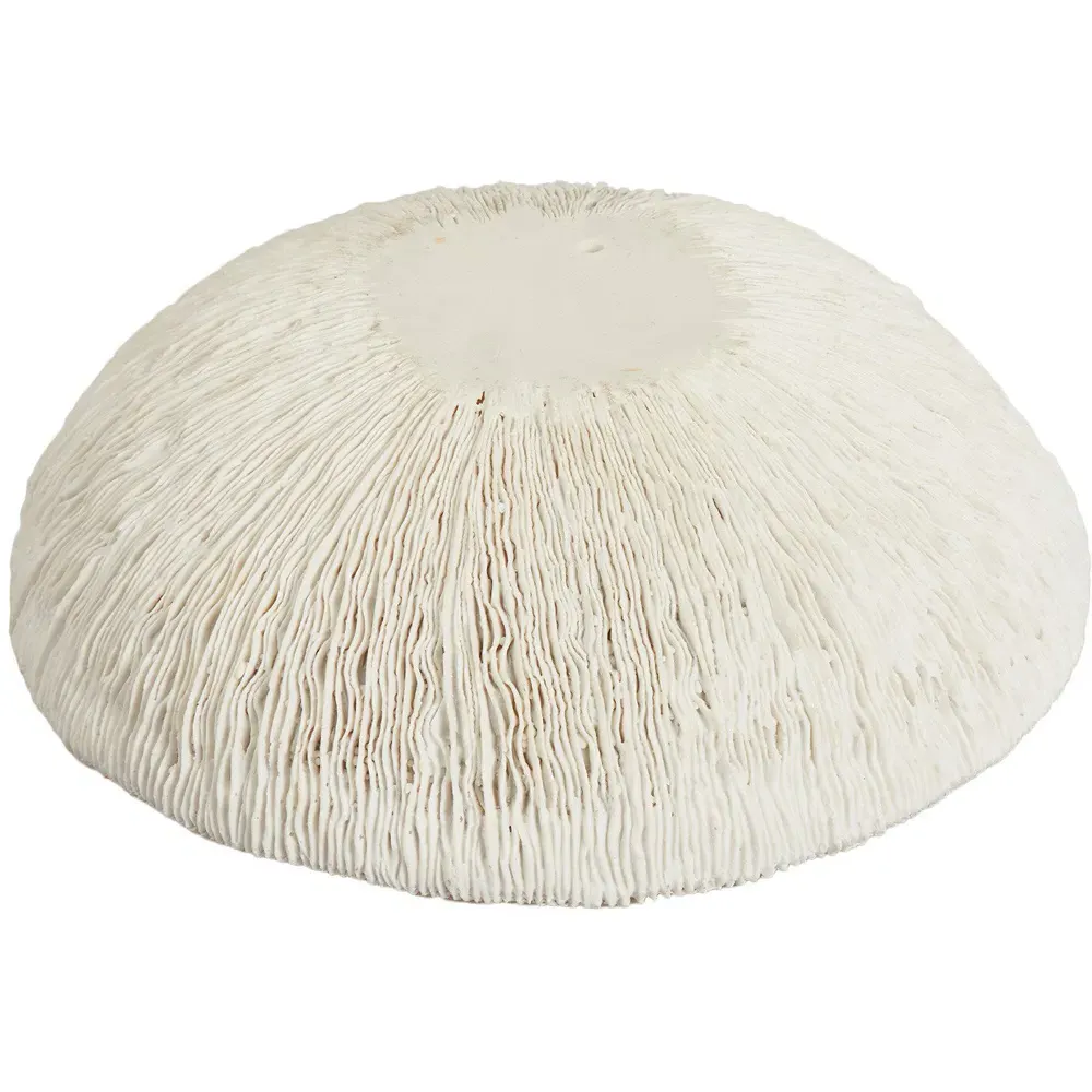 Sofia Textured Bowl - White