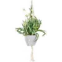 Spider Plant Artificial Plant in Hanging Pot