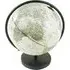 Spinning Globe on Base - Neutral
