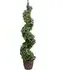 Spiral Artificial English Ivy - Green