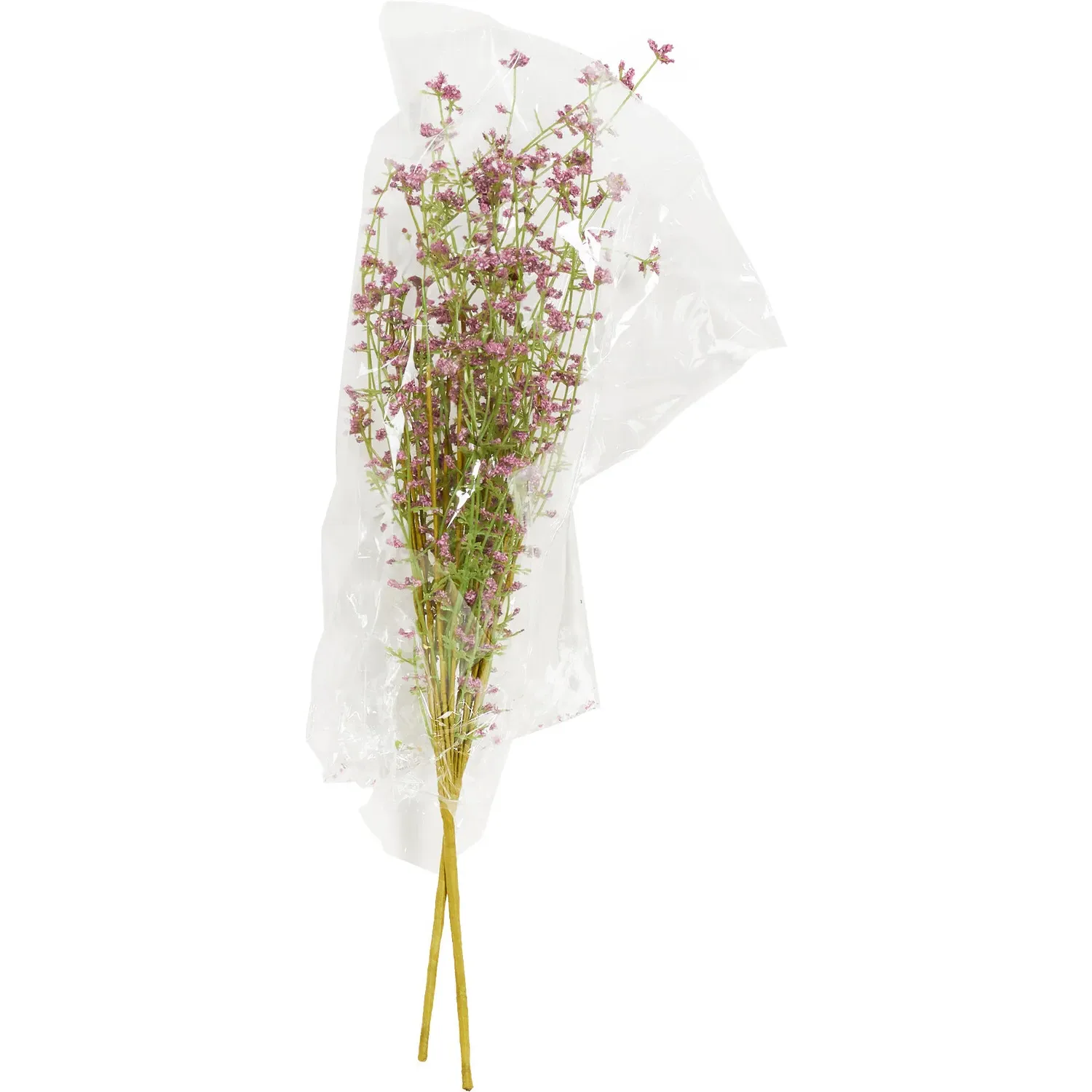 Spring Gypsophila Spray - White