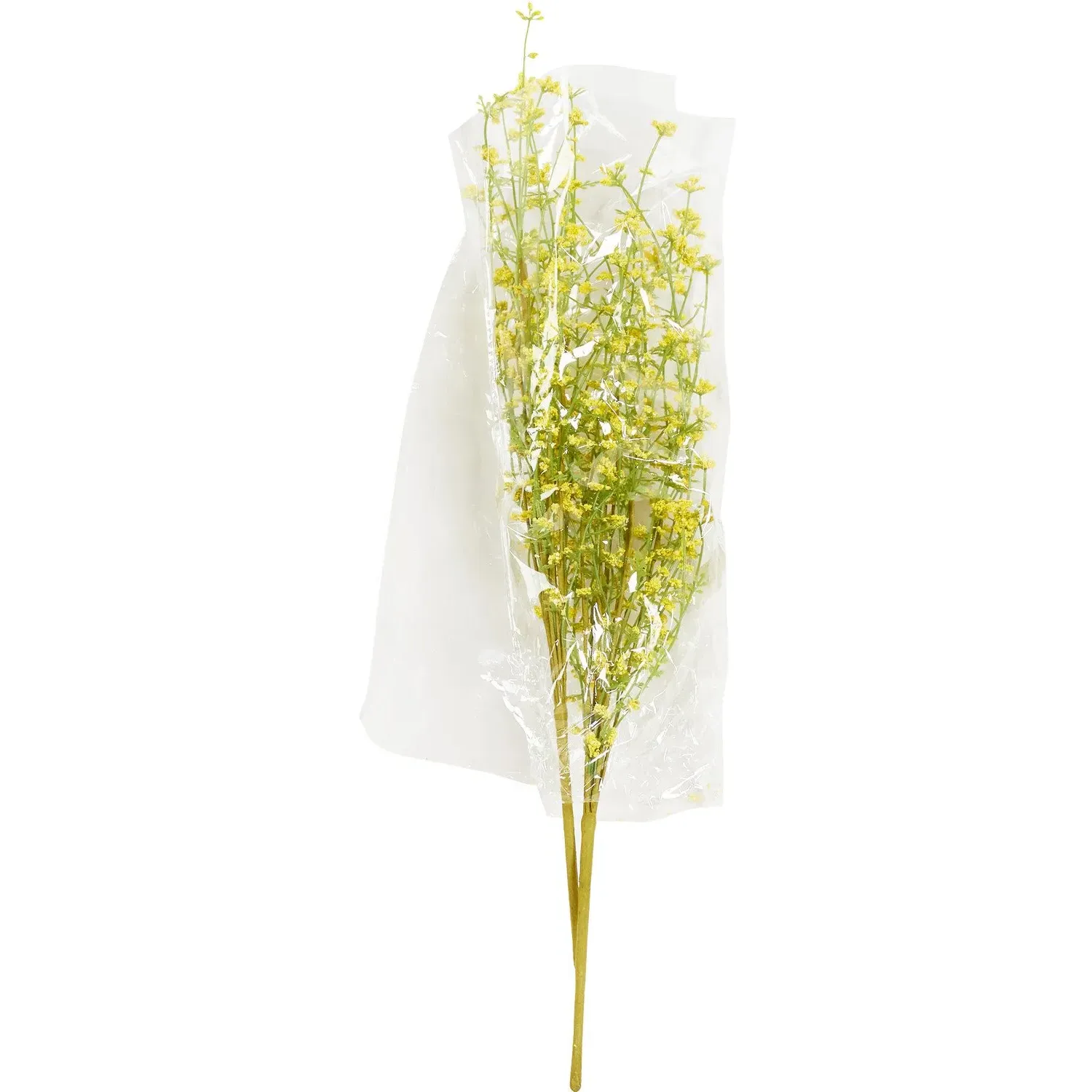 Spring Gypsophila Spray - White image