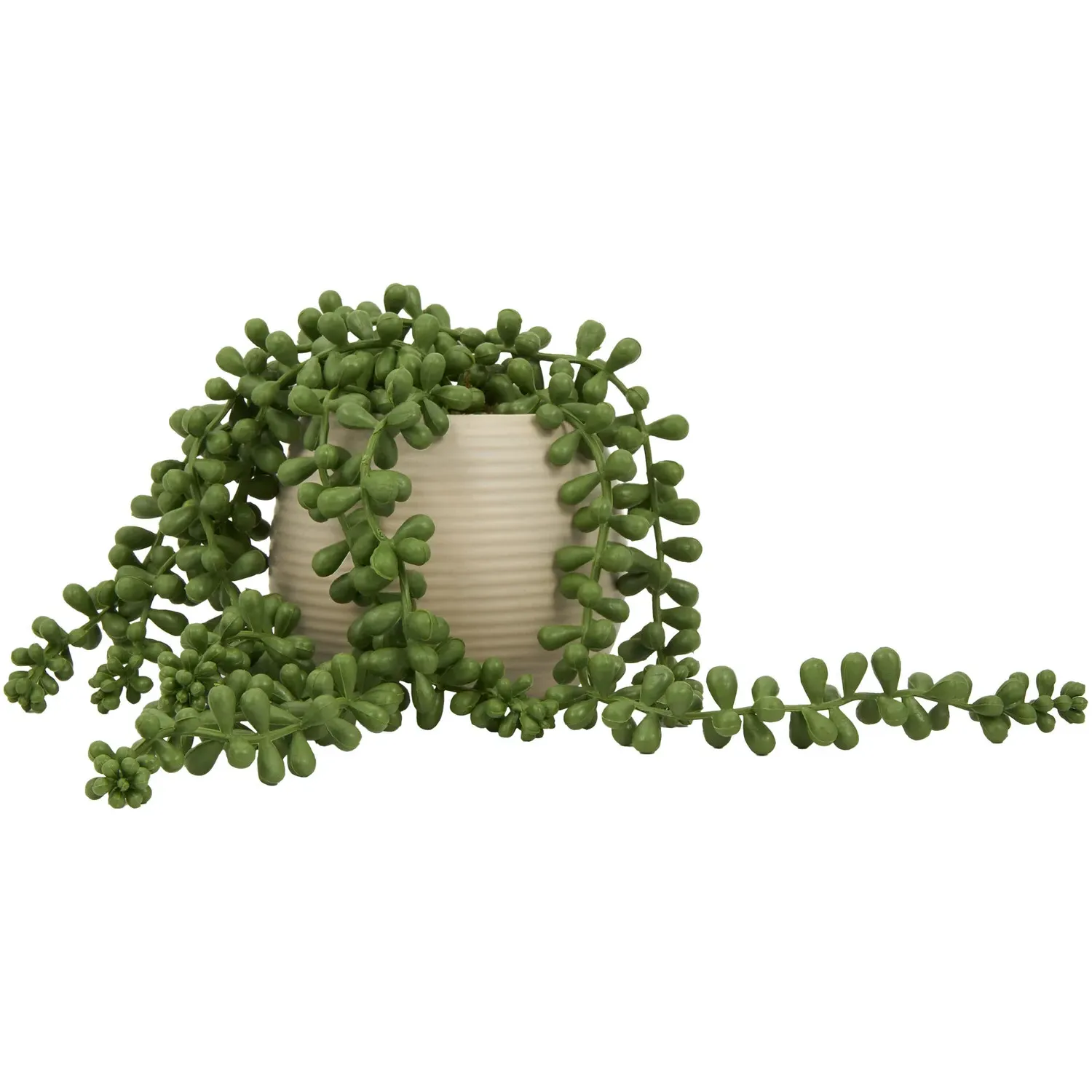 String of Pearls in Ribbed Pot - Green