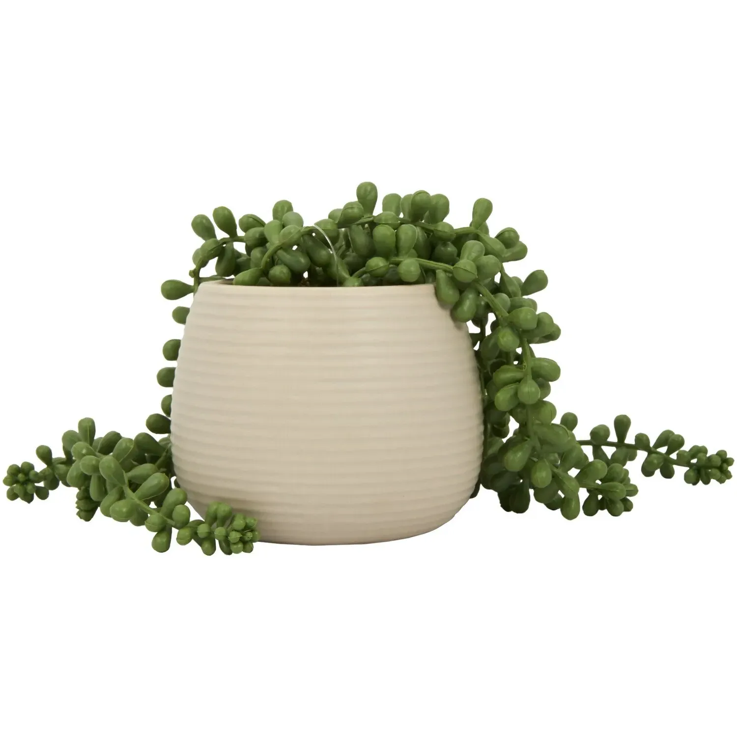 String of Pearls in Ribbed Pot - Green