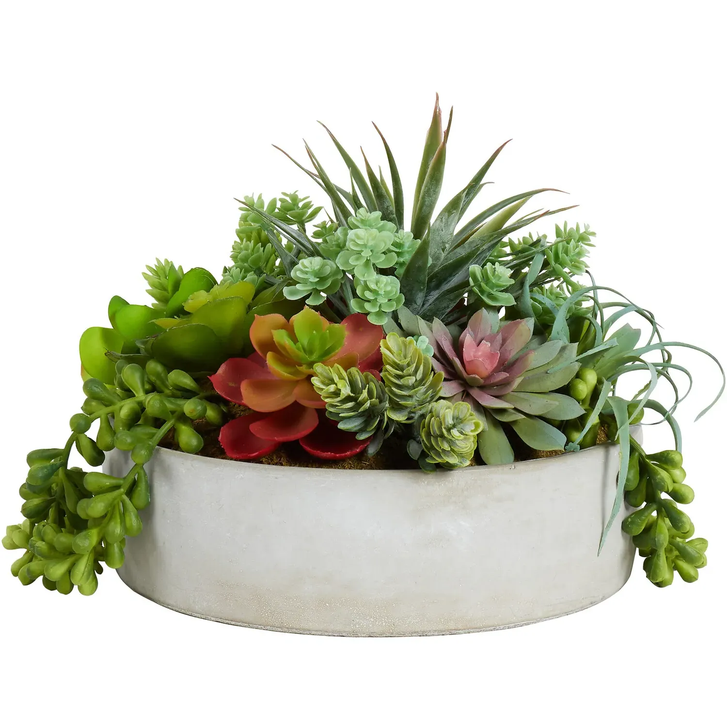 Succulent Artificial Plant - Green, Cement Pot