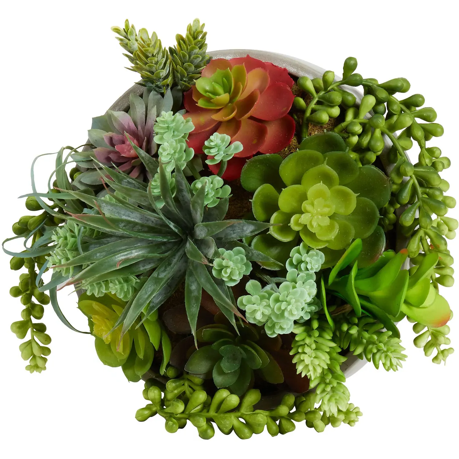 Succulent Artificial Plant - Green, Cement Pot