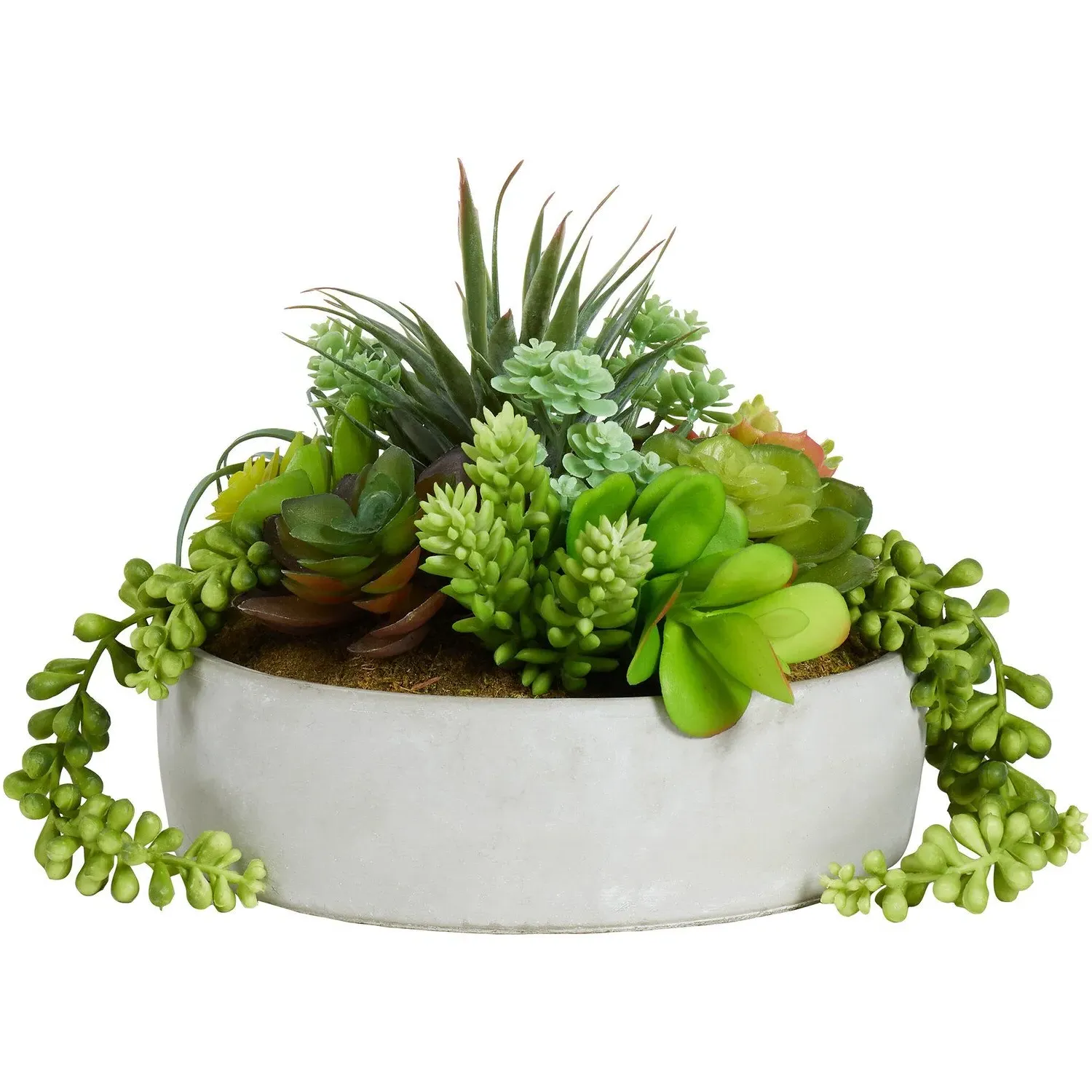 Succulent Artificial Plant - Green, Cement Pot