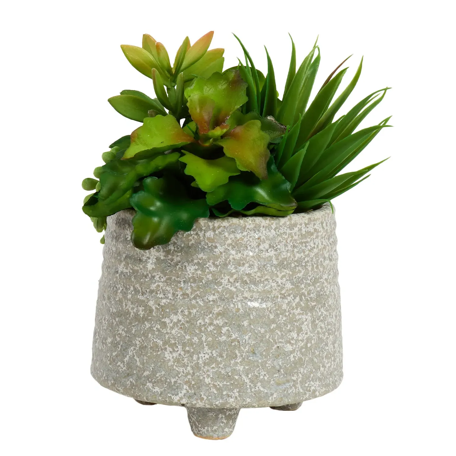 Succulent Artificial Plant in Footed Pot - Grey