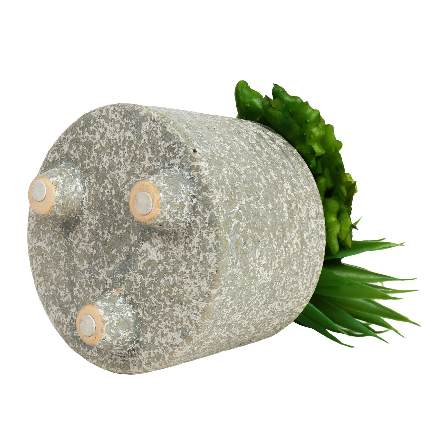 Succulent Artificial Plant in Footed Pot - Grey