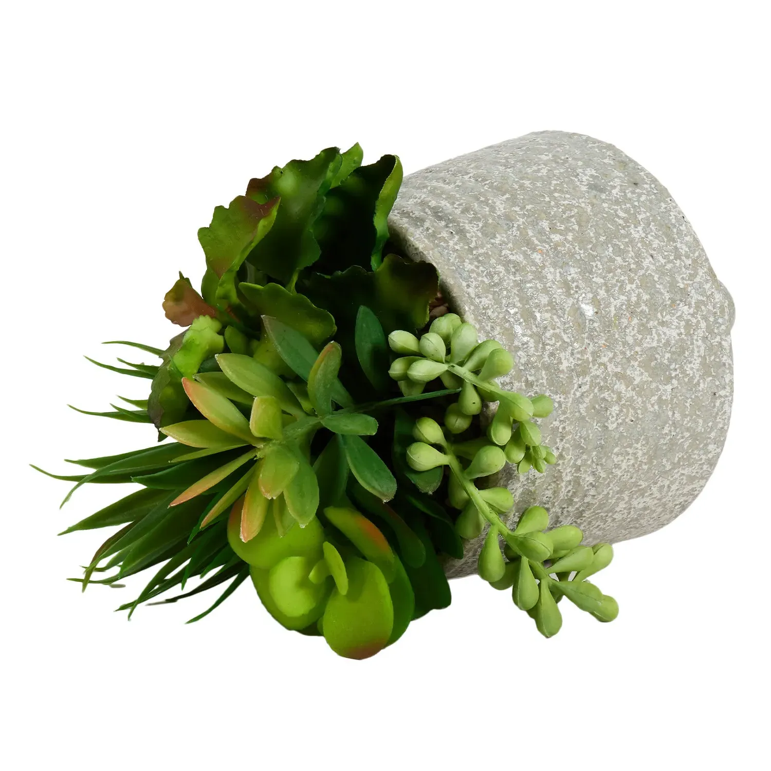 Succulent Artificial Plant in Footed Pot - Grey