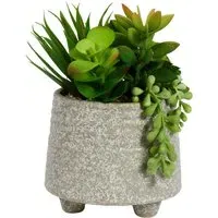 Succulent Artificial Plant in Footed Pot - Grey