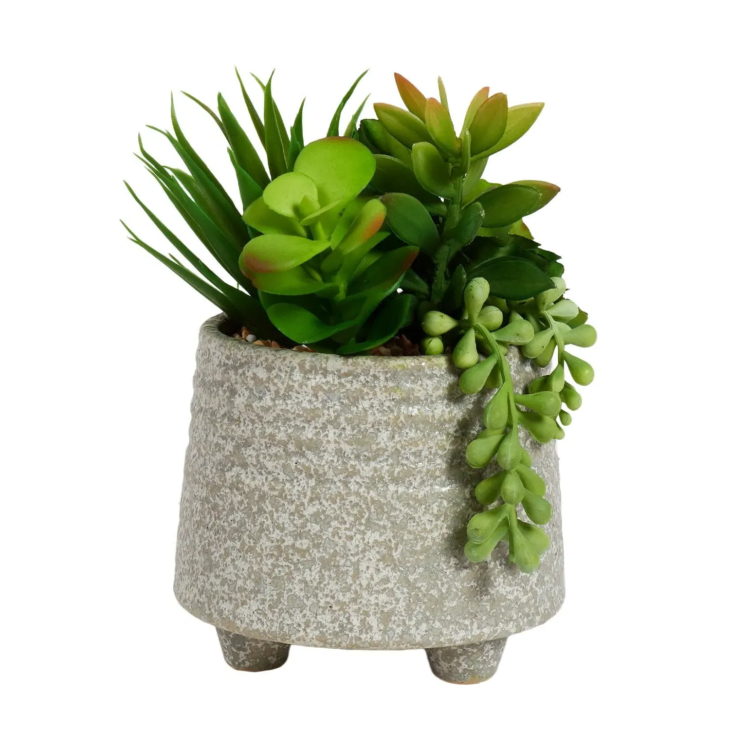 Succulent Artificial Plant in Footed Pot - Grey