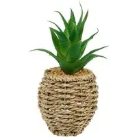 Succulent Artificial Plant - Natural Water Hyacinth Pot