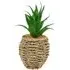 Succulent Artificial Plant - Natural Water Hyacinth Pot