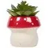 Succulent Artificial Plant - Red Mushroom Pot