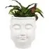 Succulent Artificial Plant - White Buddha Pot