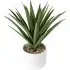 Succulent Artificial Plant - White Ceramic Pot