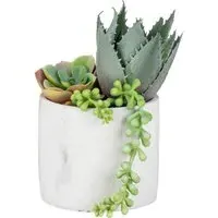 Succulent Artificial Plant - White Marble Pot