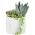 Succulent Artificial Plant - White Marble Pot