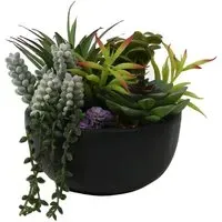 Succulent in Pot - Black