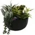 Succulent in Pot - Black