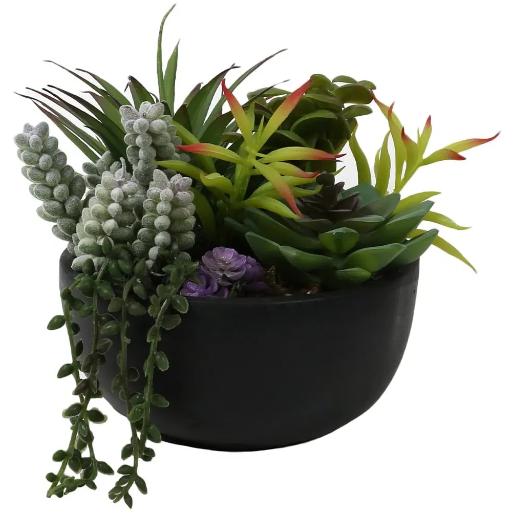 Succulent in Pot - Black