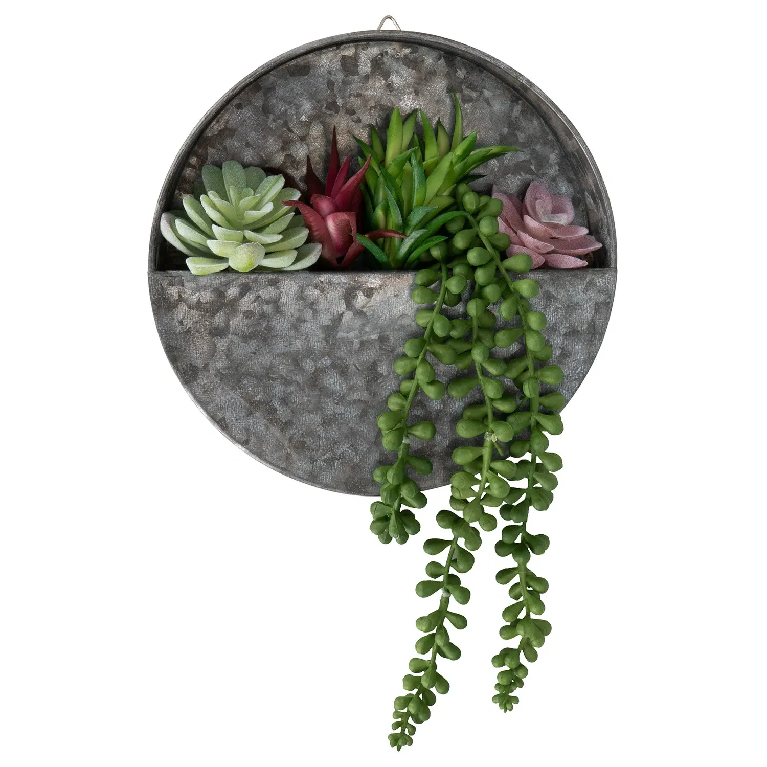 Succulent Wall Hanging Artificial Plant image
