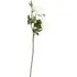 Supreme Artificial Rose Stem - White, Ivory